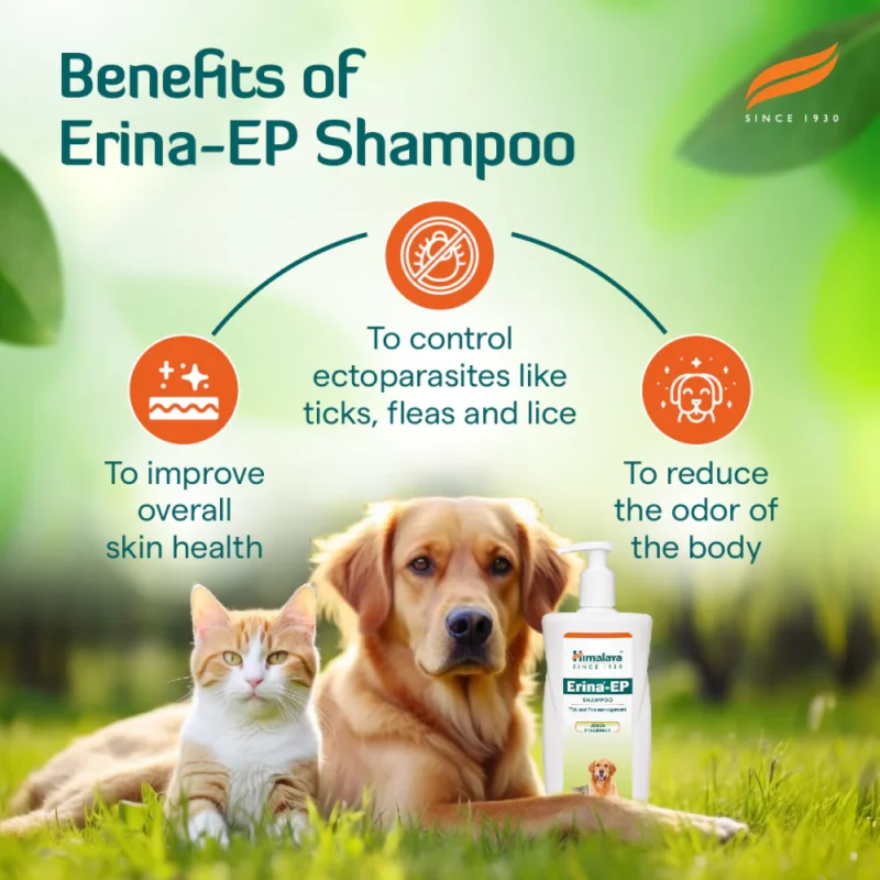 Himalaya Erina EP Tick and Flea Shampoo for Dogs and Cats 200ML - Image 2