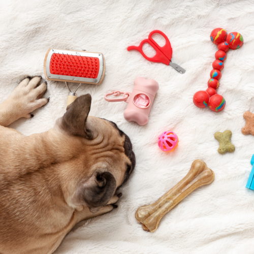 Dog Grooming Accessories