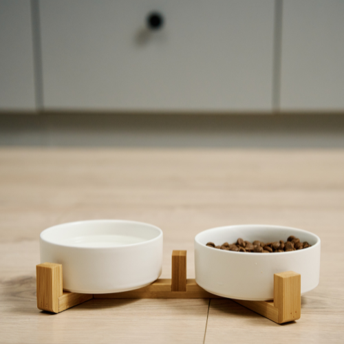 Bowls And Feeders